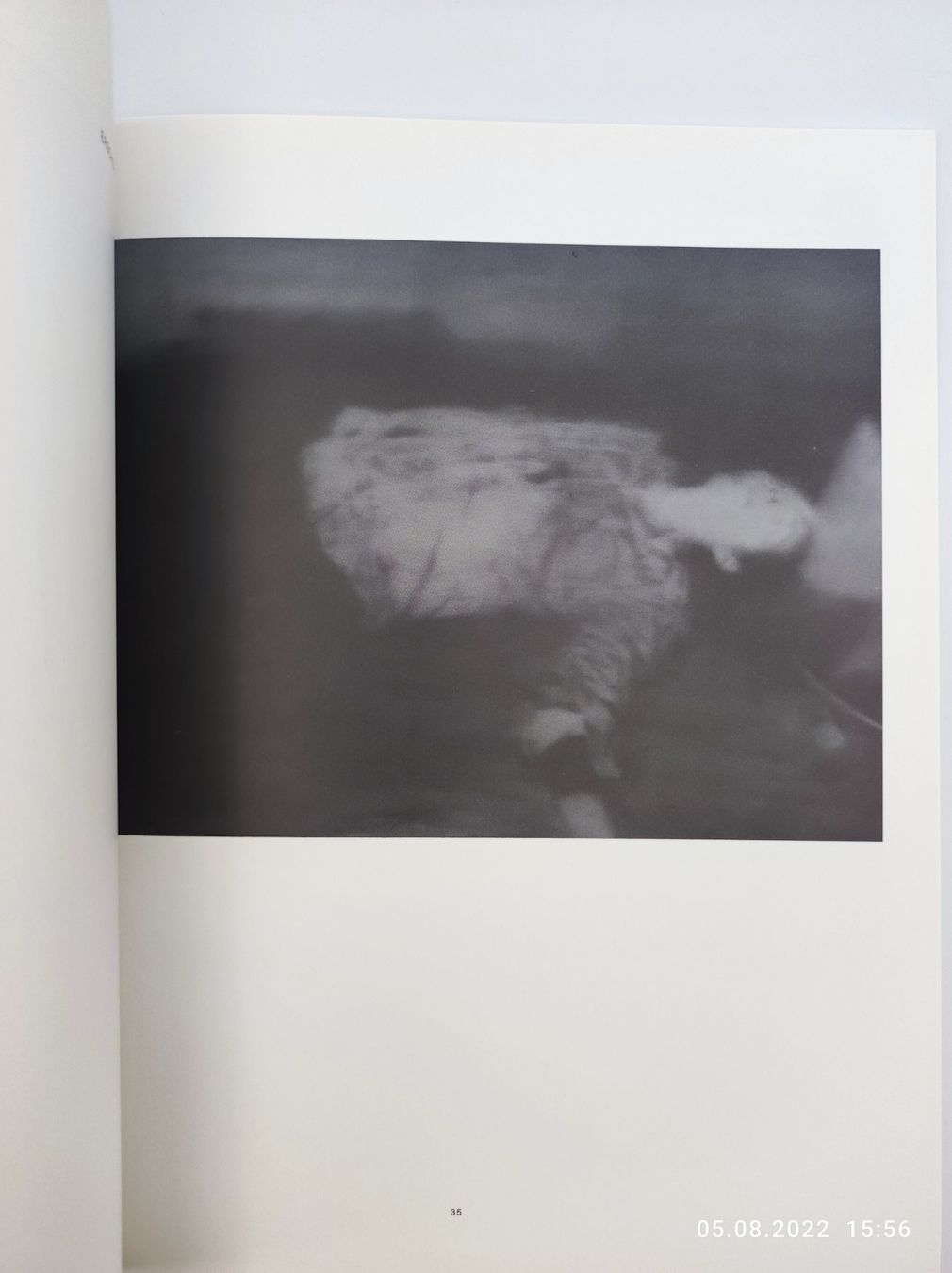 Libri: GERHARD RICHTER - AUSSTELLUNGSKATALOG 1977 – Usato da Goldach venduto da Gaip 1