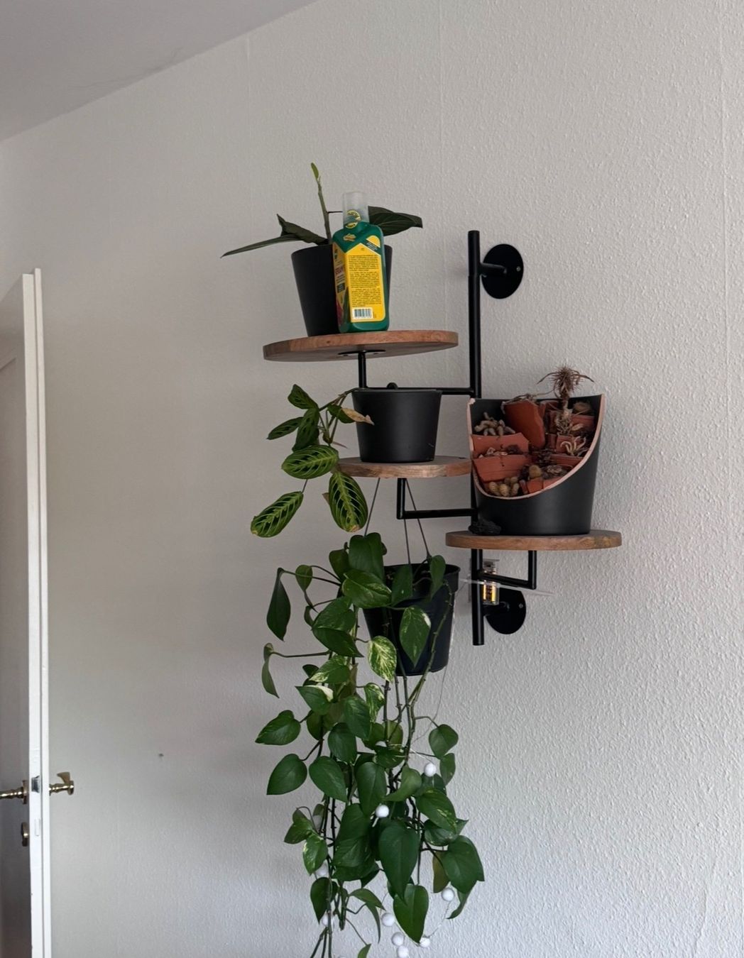 Maisons du monde Scaffali: Regal mit 3 Böden - Mangoholz Metall – Usato da Zürich venduto da hub_b7rd 1