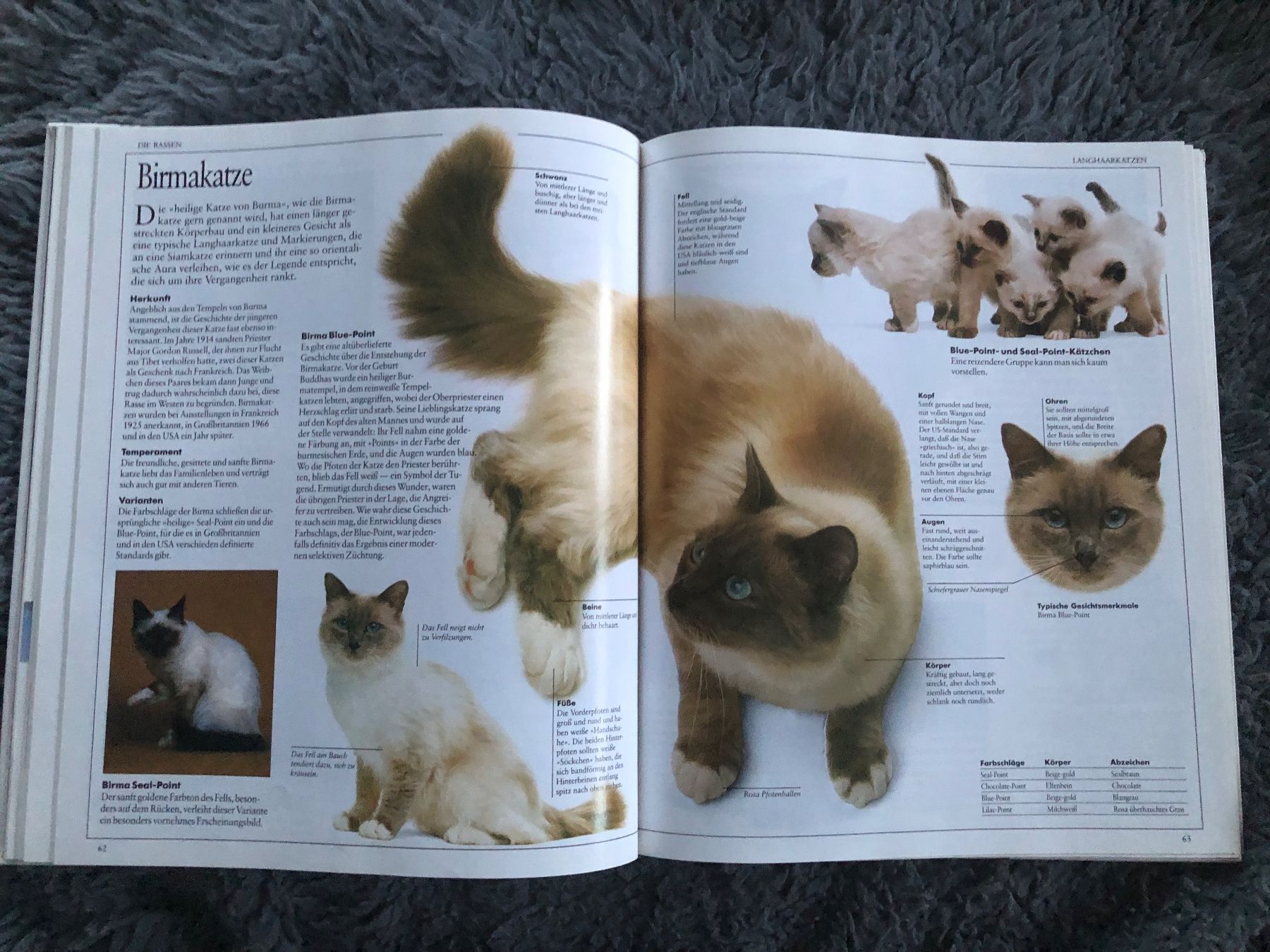 Libri: Mein grosses Katzenbuch – Usato da Hinwil venduto da dadalina76 2