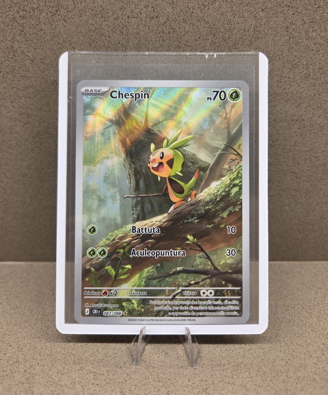 Pokémon Carte collezionabili: Pokemon Chespin ITA – Nuovo (secondo la descrizione) da Giubiasco venduto da joe_6tx6