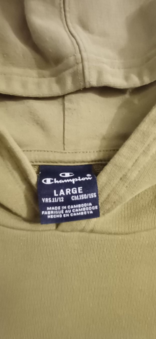 Champion Maglioni & Felpe: Champion Pullover 150-155 – Usato da Wahlendorf venduto da Irba 1