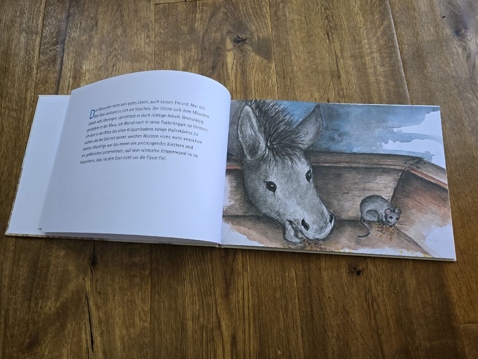 Libri: Raus, kleine Maus! – Usato da Wittenbach venduto da Tigerlili 1