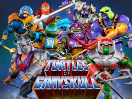 Turtles of Grayskull Masters of the Universe MOTU Konvolut
