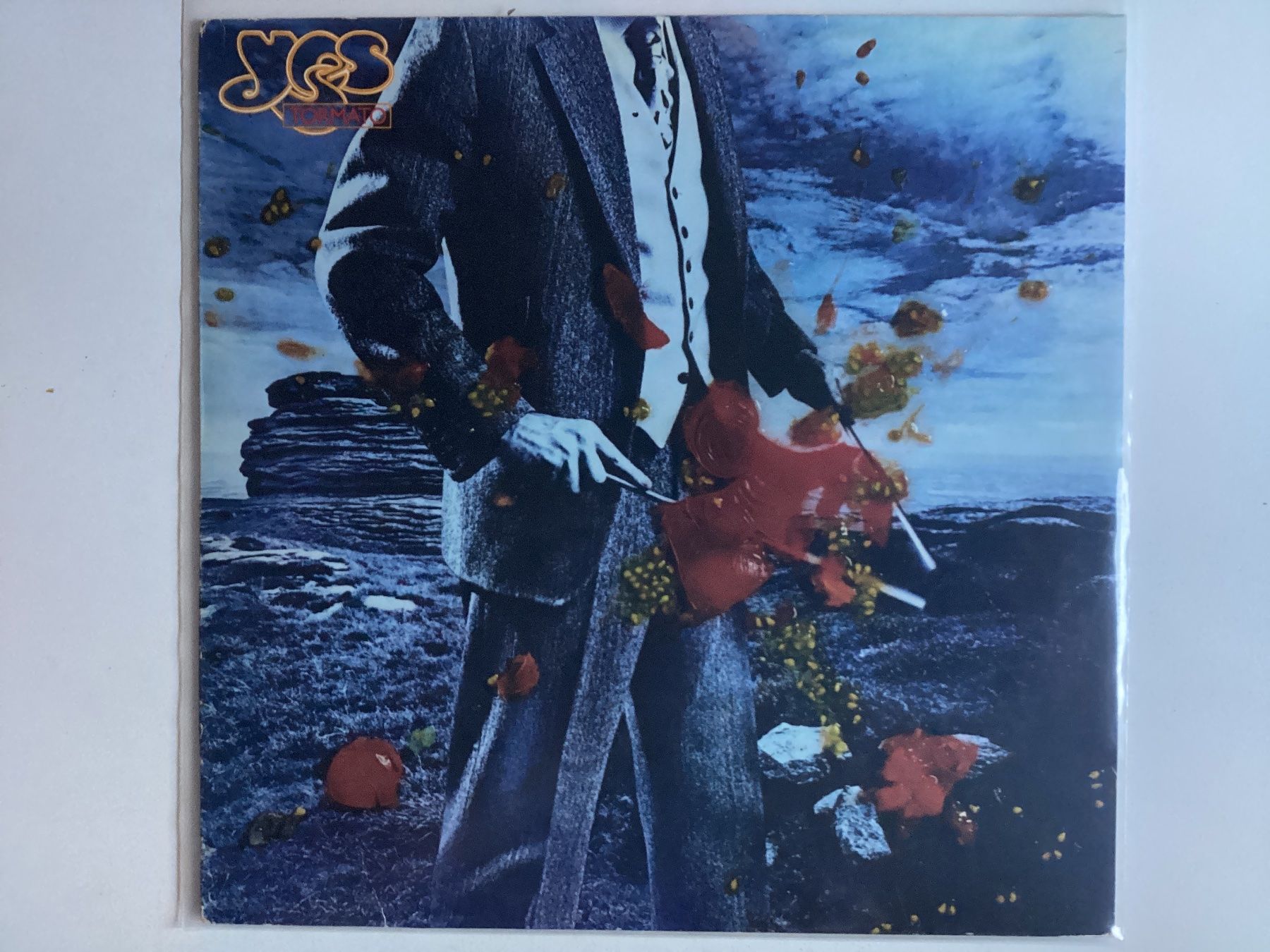 Dischi in vinile: Yes LP - Tormato – Usato da Gutenswil venduto da Hamzian