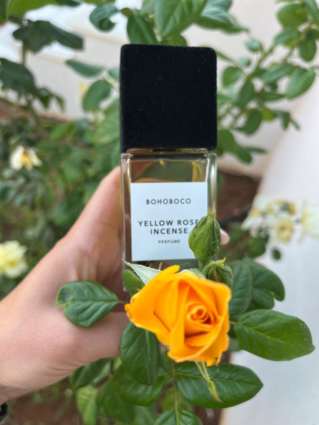Parfum & Eau de Toilette: Yellow Rose Incense by Bohoboco 12 ml sample – Neu (gemäss Beschreibung) aus Chêne-Bougeries von Seetooyoo 3