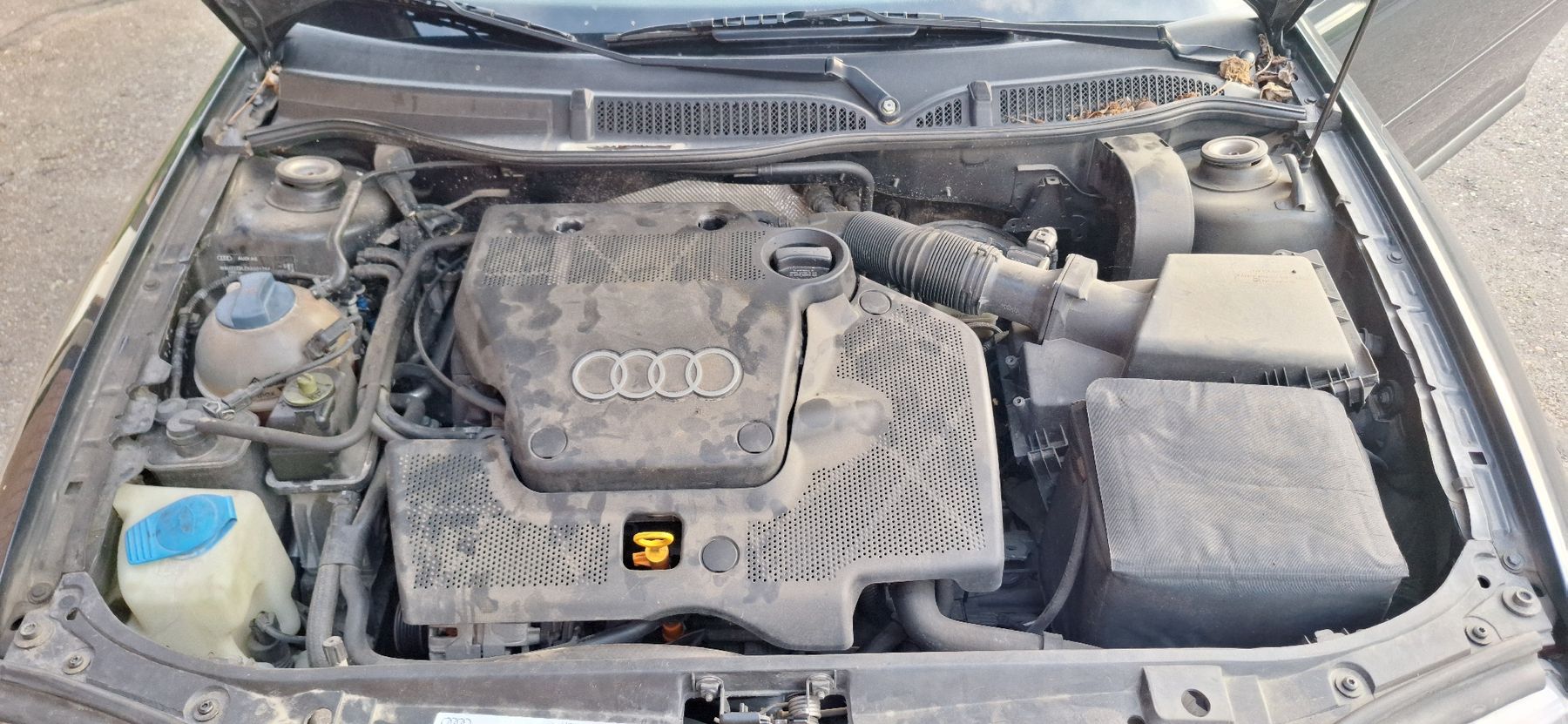 Audi Autos: Audi A3 – D'occasion à Berg am Irchel par Bergai 5