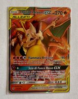 Charizard & Braixen Ex 22/236