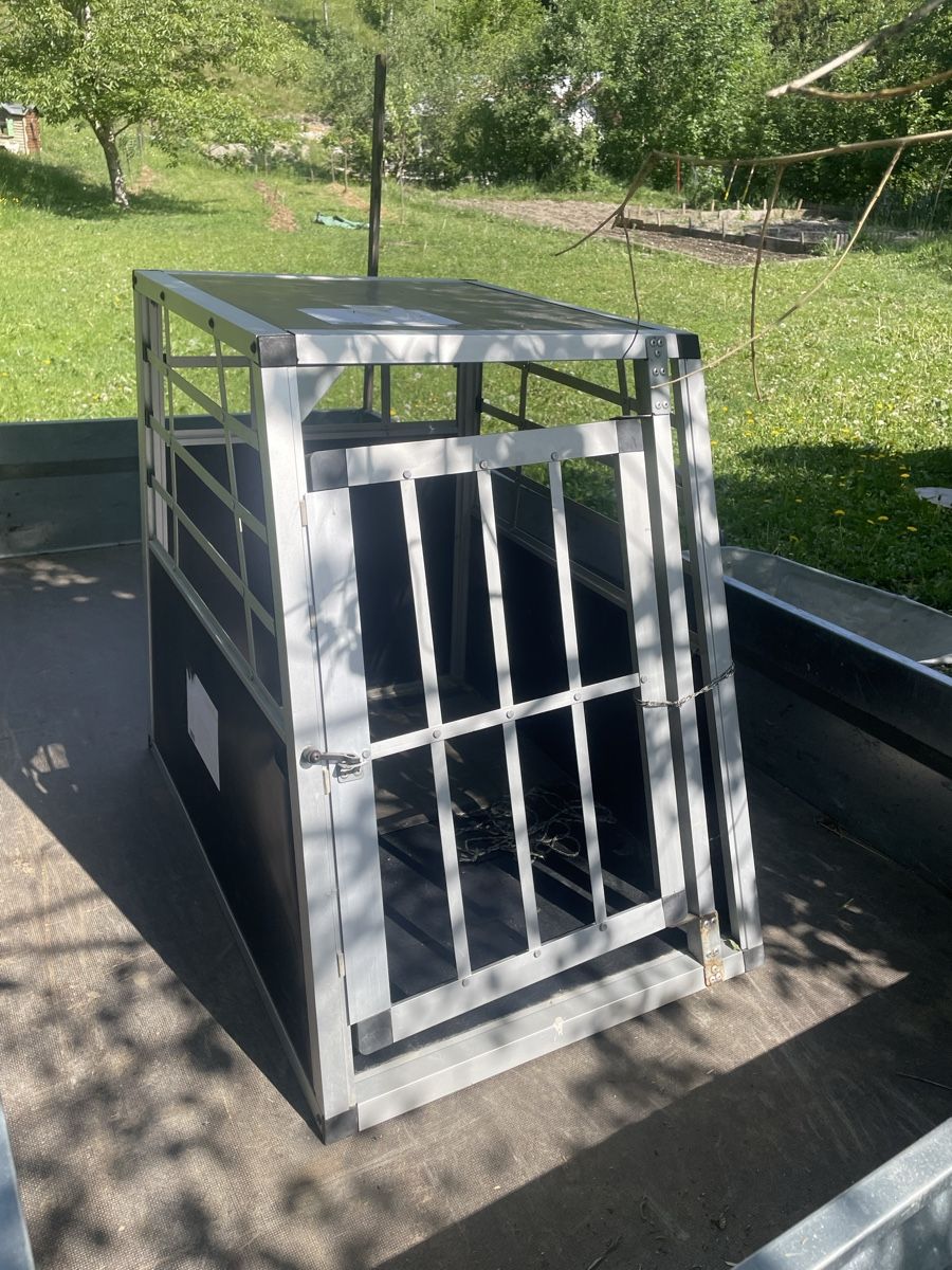 Gabbie, trasporto & Sicurezza: Cage chien pour voiture  – Usato da Erde venduto da tac_75wp 1
