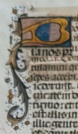 Documenti: Lateinische Schrift auf Pergament m. eindrucksv. Initialien – Usato da Zürich venduto da wme_2brc 2