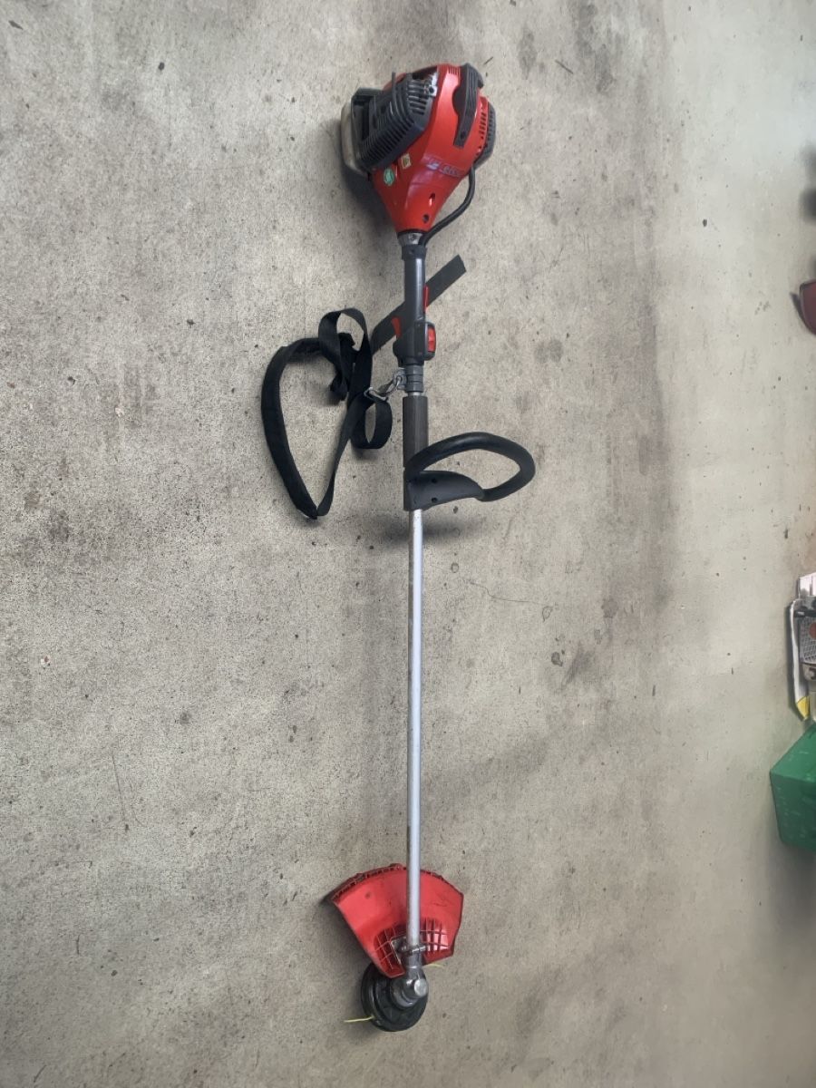 Efco Tagliaerba: Motorsense Efco DS 3800 S – Usato da Rosshäusern venduto da campo3.1 2