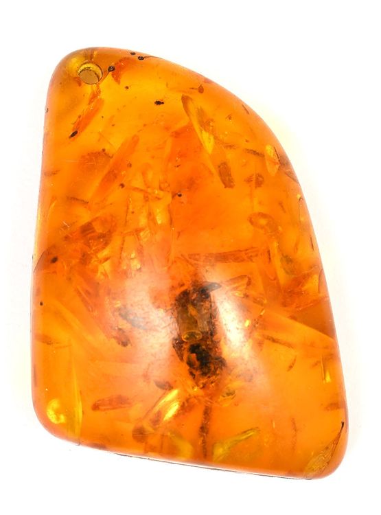 Echte Zikade In Bernstein - Natürliches Fossil Als Besonderes Sammlerstück