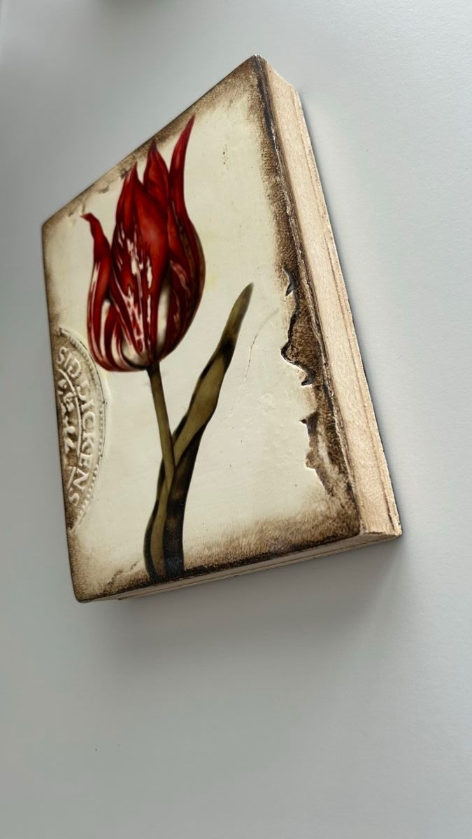 Foto & Immagini: Sid Dickens Memory Block T-98 Scarlet – Usato da Meilen venduto da Swisscommunicator 1