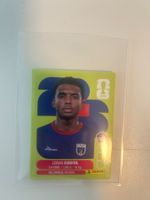 CPV 3/6/8/9/10/11/12/14/16/17/18/19/20 - Panini WM Sticker