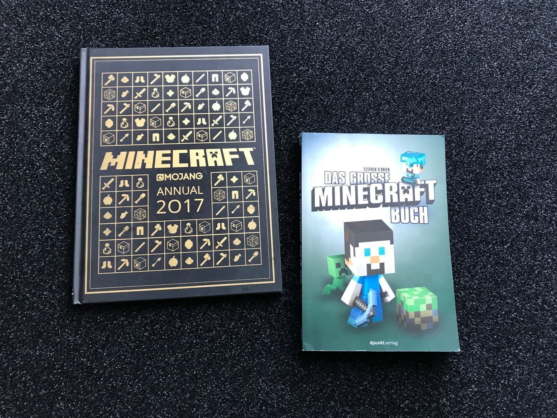 Libri: 2 Minecraft Bücher – Usato da St. Margrethen SG venduto da kellenbh