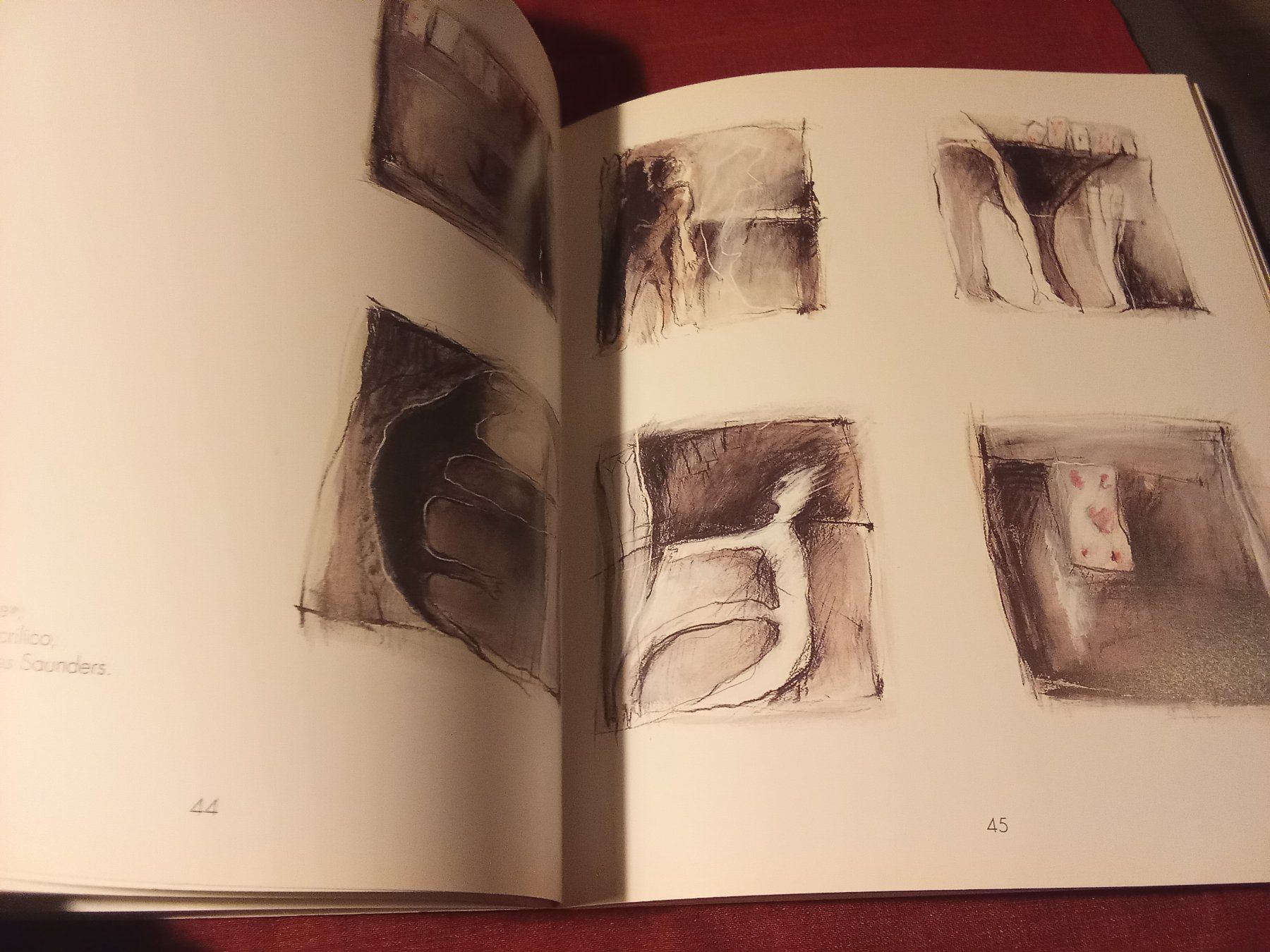 Libri: Alexandra Grosse - Brigitta Enz Bilder 1991-1995 – Usato da Remetschwil venduto da Privatflohmi 5