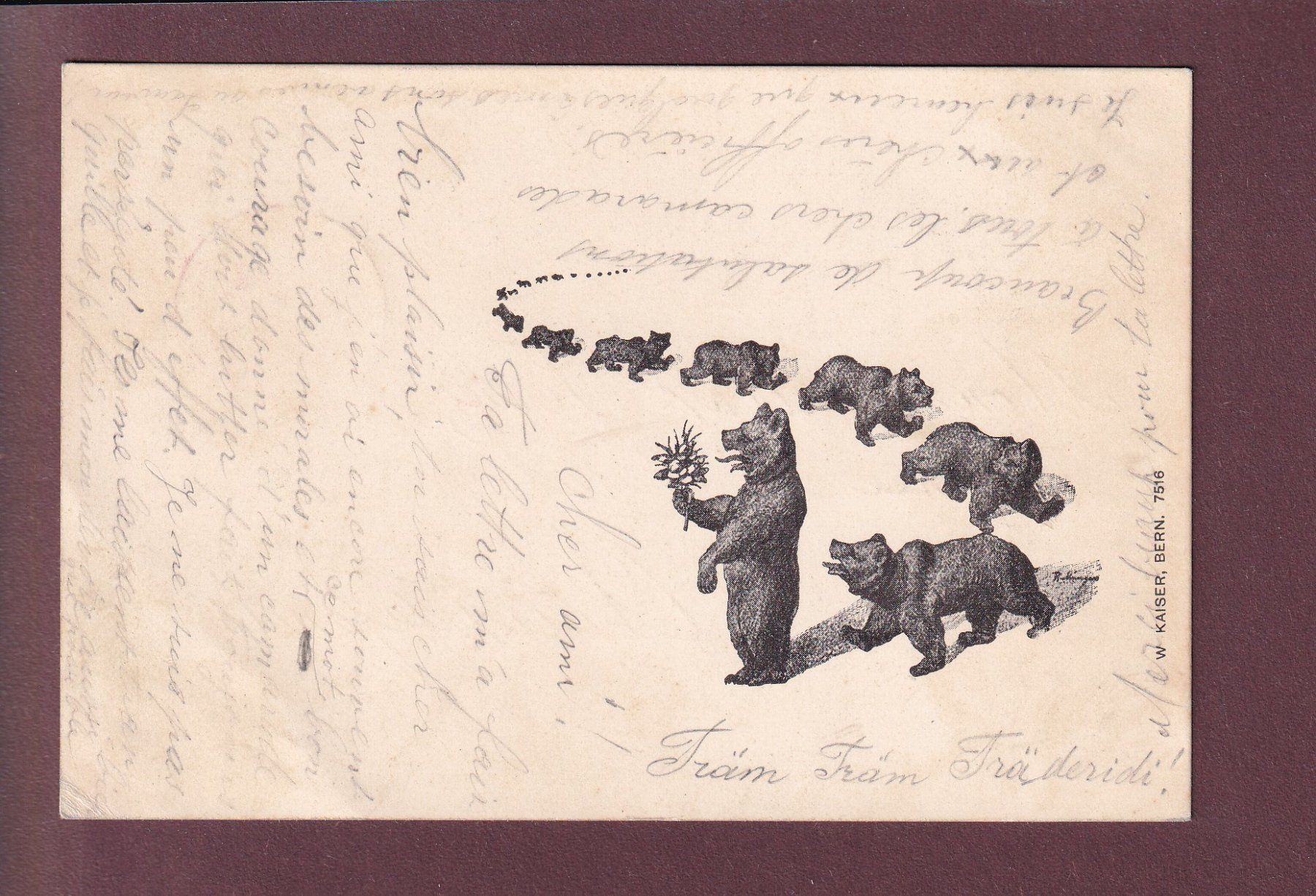 Cartoline postali: Bern - BÄREN - 1901 Feldpost – Usato da Pully venduto da nicecards