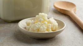 BIO Kefirknolle Milchkefir Tibetanischer Pilz Kefirpilz