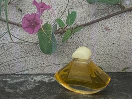 Parfum miniature - CAPUCCI - Homme 1967