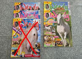 Wendy Comic Hefte/ Pferde Zeitschriften von 2008 mit Poster