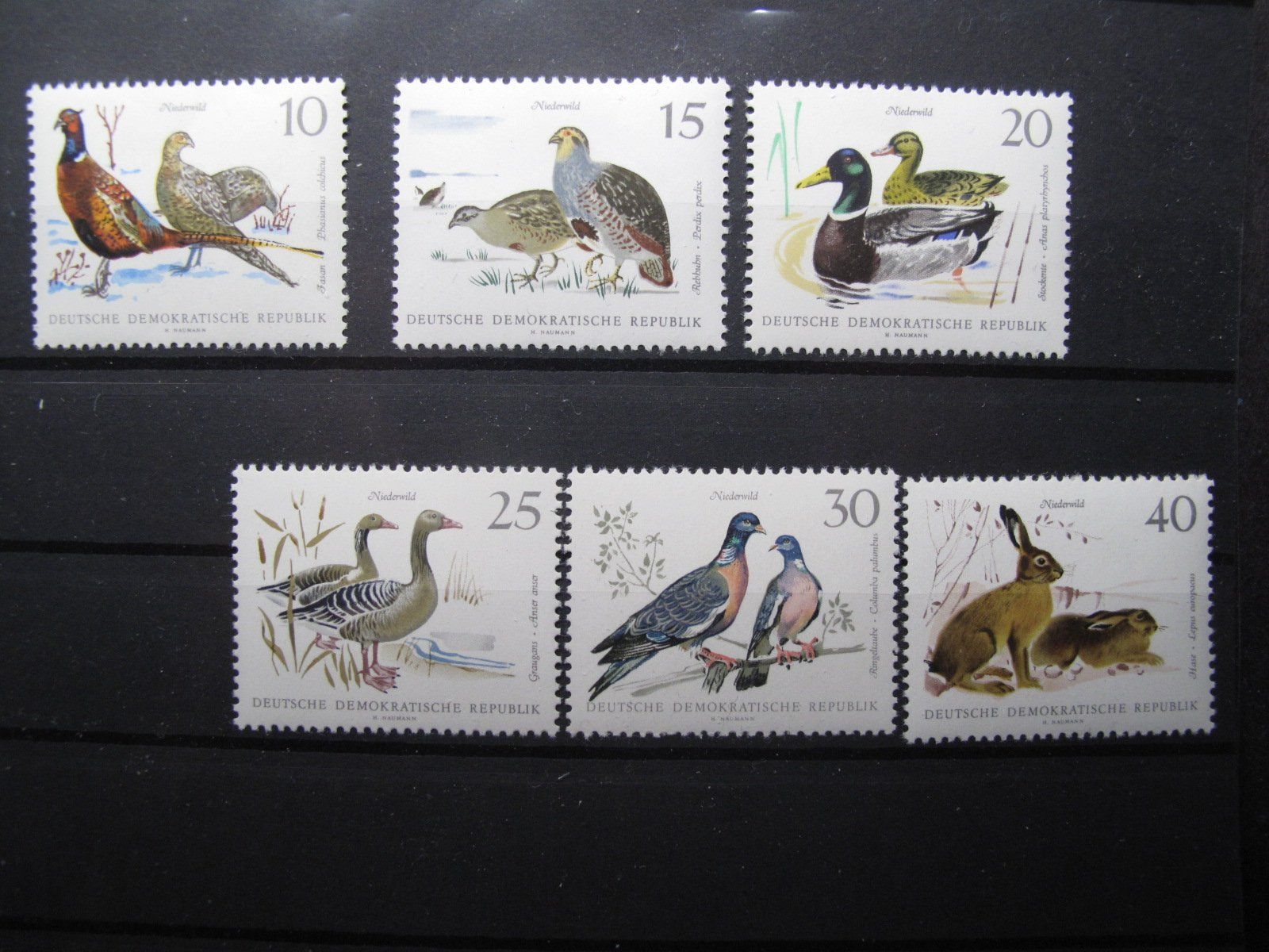 Alle Briefmarken: DDR 1968 Niederwild ** – Gebraucht aus Wil SG von fva01