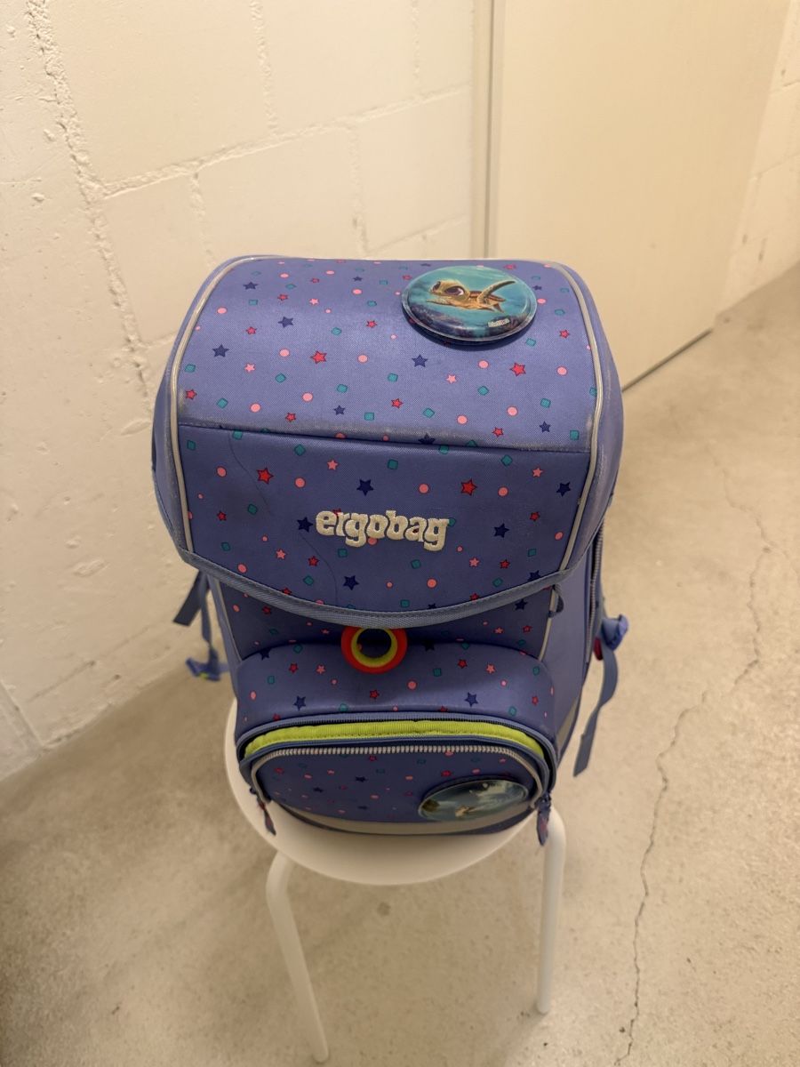 Borse & Zaini: Ergobag Schulthek inkl. zwei Etuis – Usato da Aarau venduto da son_rd99 6