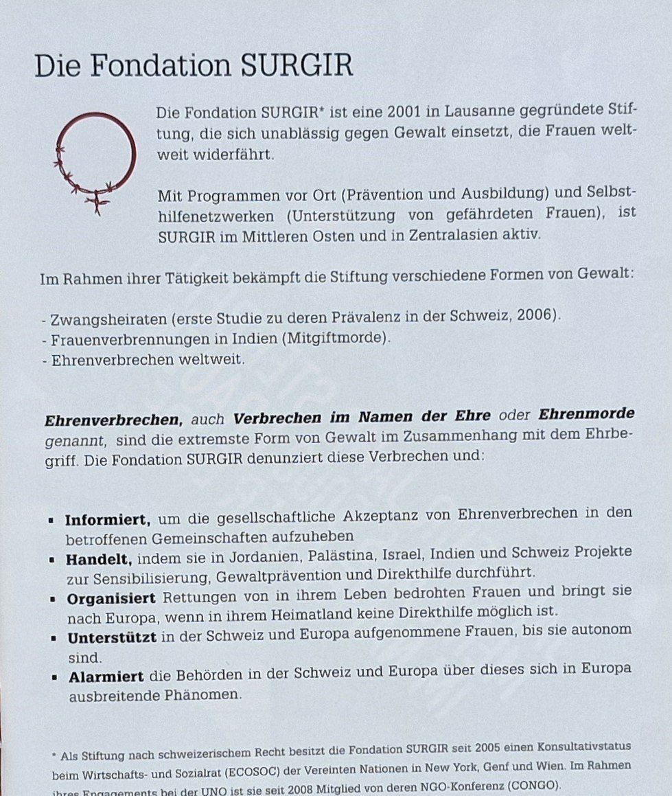 Libri: Bekämpfung von Ehrenverbrechen in EUROPA (2011) – Nuovo (secondo la descrizione) da Bern venduto da Mattthias 1