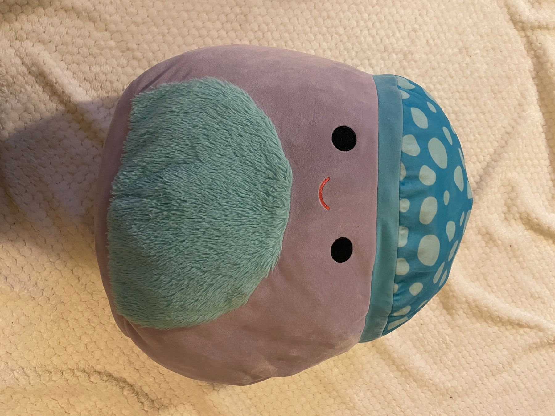 Squishmallows Giocattoli: Squishmallow Pilz – Usato da Bern venduto da Djakite