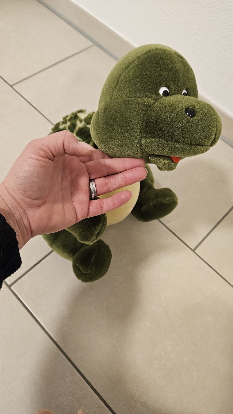 Spielzeuge: Plüschtier Stofftier Kuscheltier Schildkröte – Gebraucht aus Schaan von car_wrv2 1