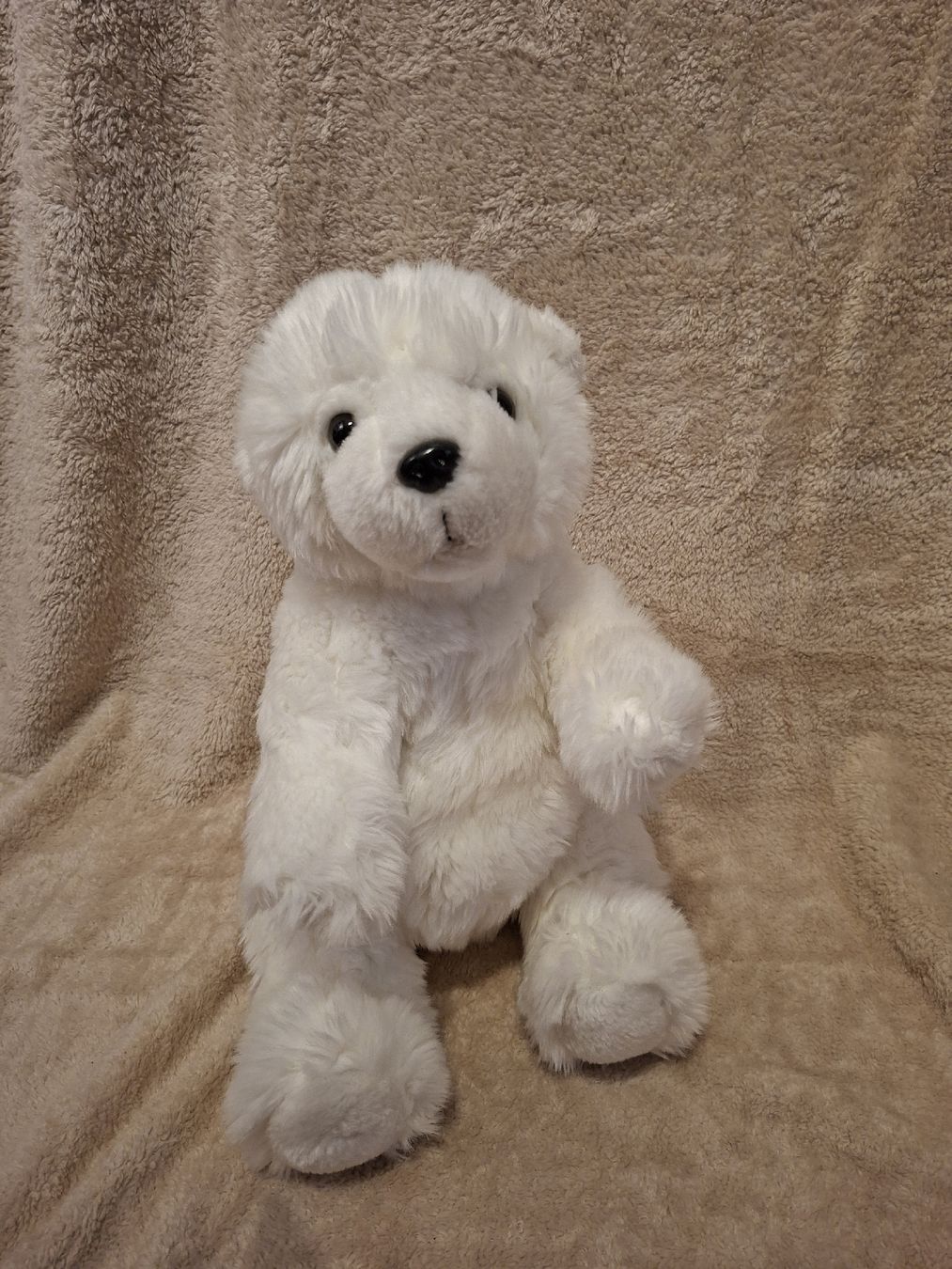 Spielzeuge: Plüschtiere; Teddybär & Eisbär – Gebraucht aus Thörigen von leo_55vw 1