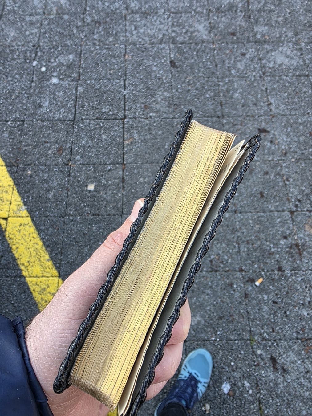 Libri: Antikes Gesangbuch Schweiz, Leder, Goldschnitt – Usato da Arbon venduto da ali_nd8l 1