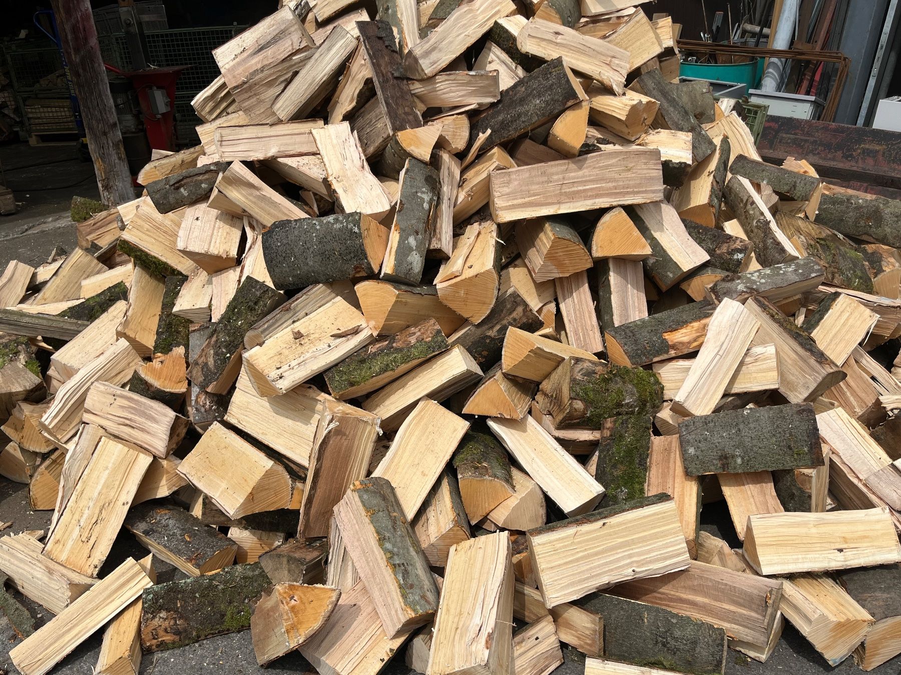 Articoli in legno: Brennholz, Chemineeholz, Scheiter, Ofen, Feuerschale – Nuovo (secondo la descrizione) da Nürensdorf venduto da Peterhakab
