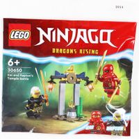 LEGO NINJAGO - DRAGON'S RISING Polybag 30650 OVP