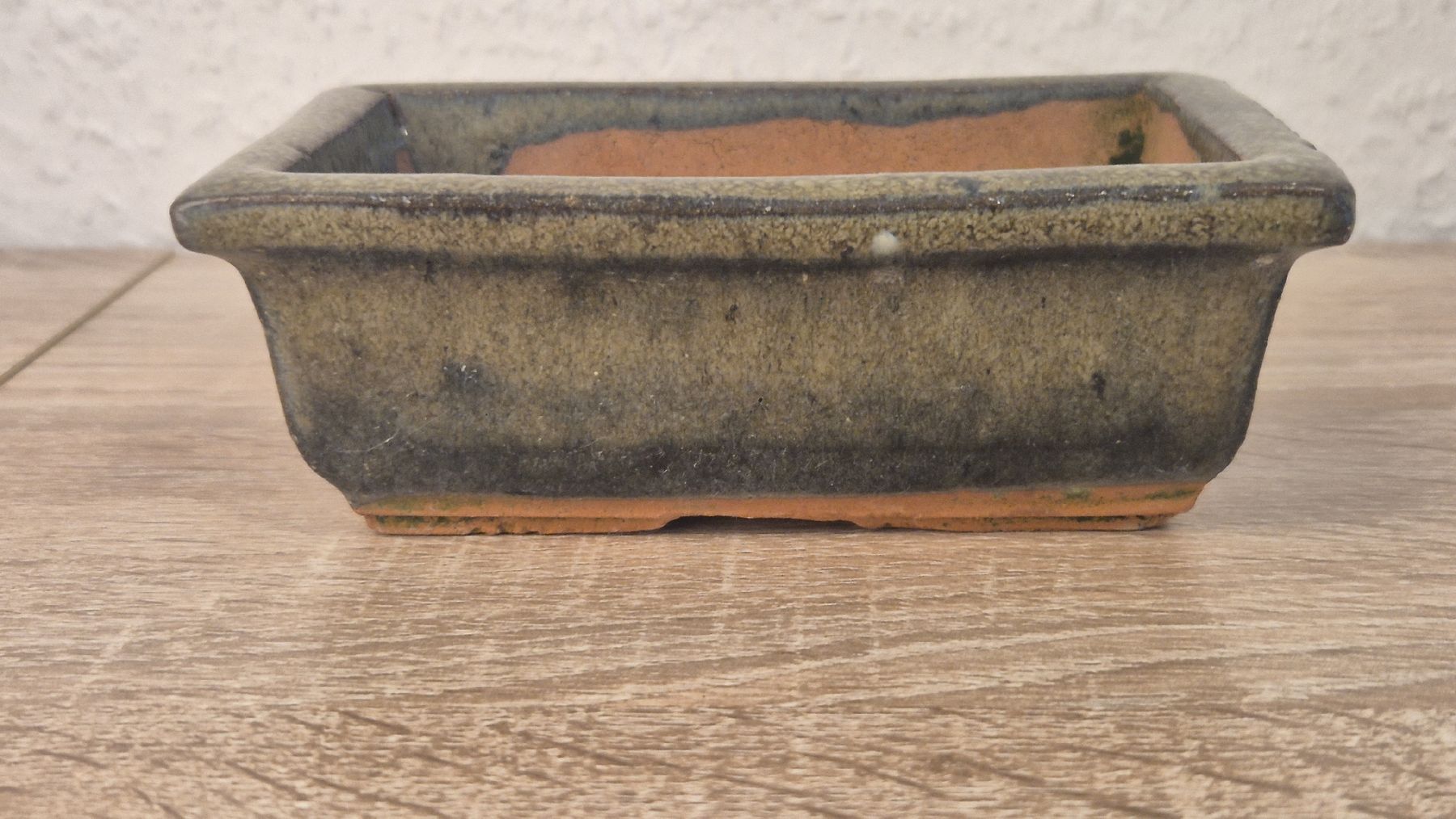Vasi & Recipienti: bonsaischale/vasi bonsai/ pots – Nuovo (secondo la descrizione) da Veyrier venduto da per_c6sz 4