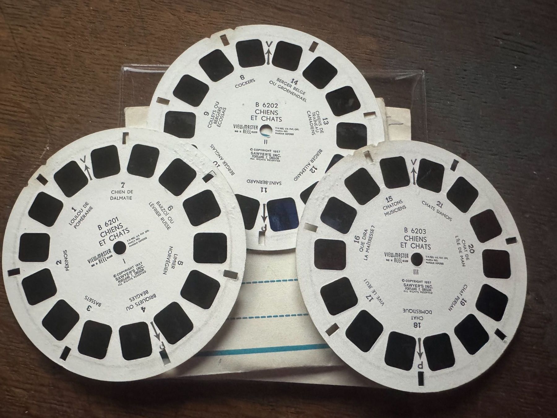View-master Spielzeuge: View-Master 3D: Nr. B 620 CHIENS et CHATS – Gebraucht aus Tegerfelden von siebenmacky 1