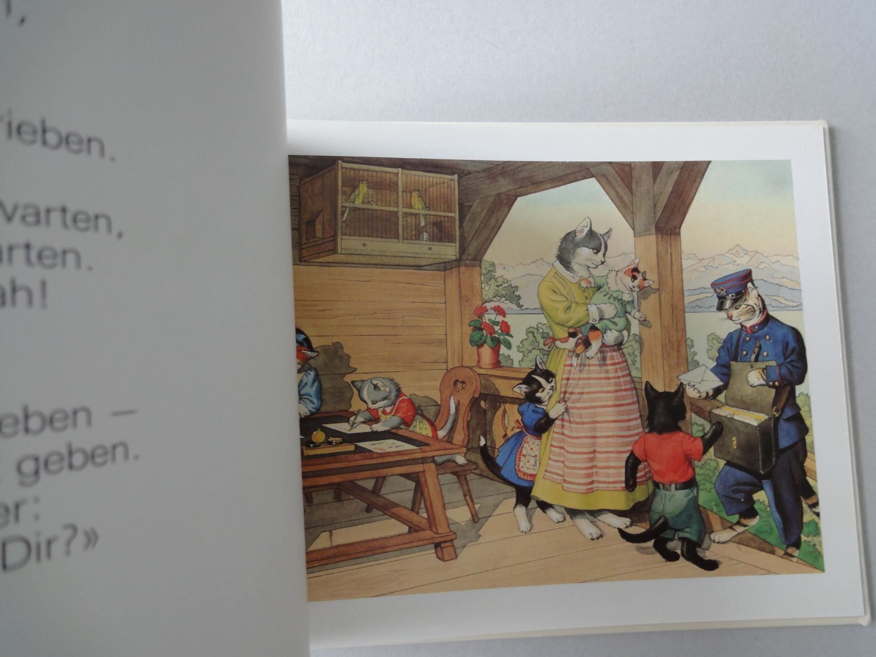 Libri: Die fröhliche Katzenfanilie – Usato da Chur venduto da omonia 5
