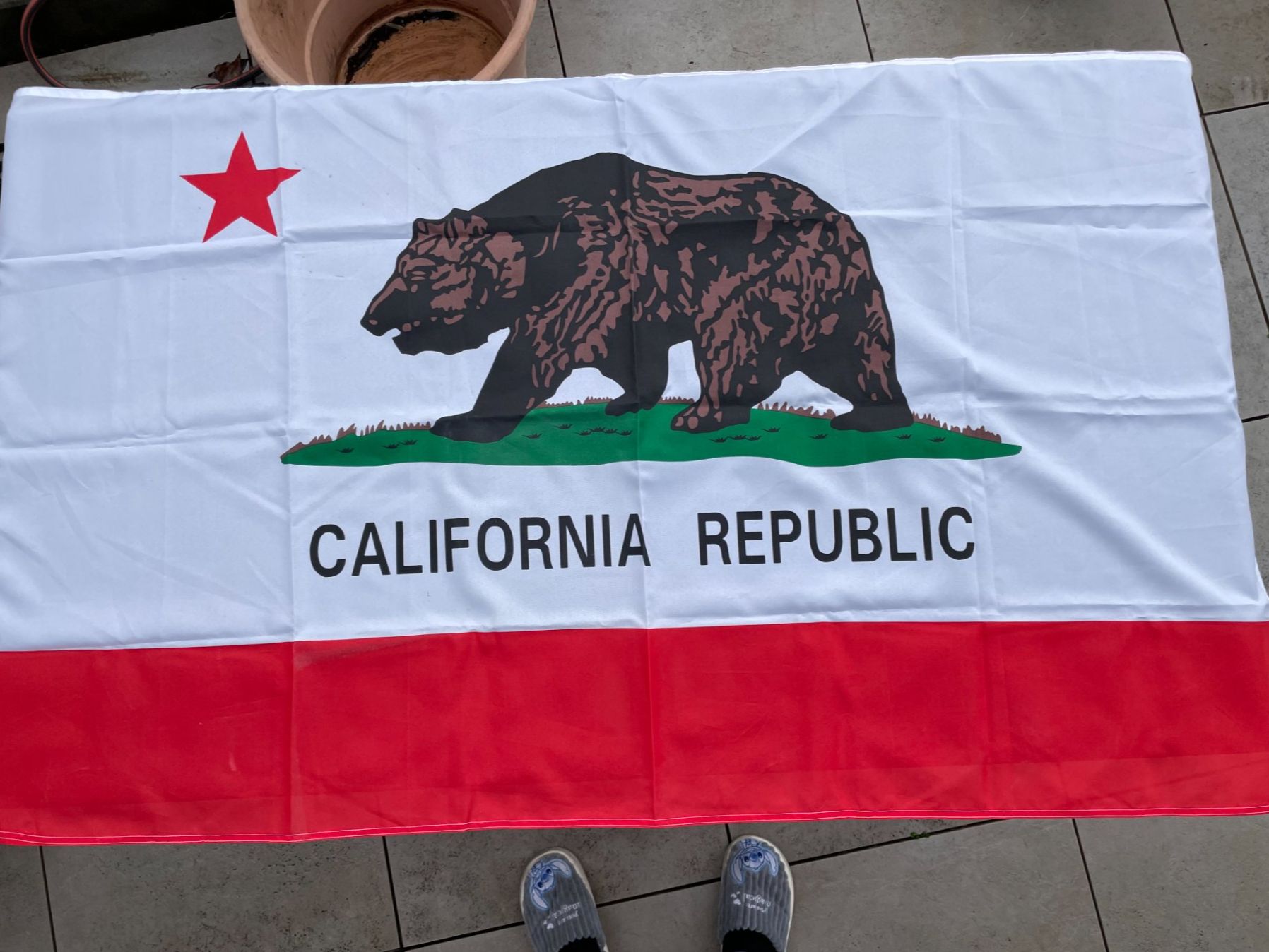 Bandiere: California Republic Flag Grösse 152x86cm – Usato da Zürich venduto da ONA-Online