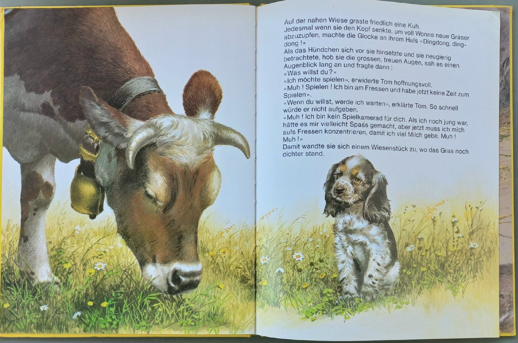 Libri: Kinderbuch - Tom, das herrenlose Hündchen – Usato da Niederuzwil venduto da lubimaja 2