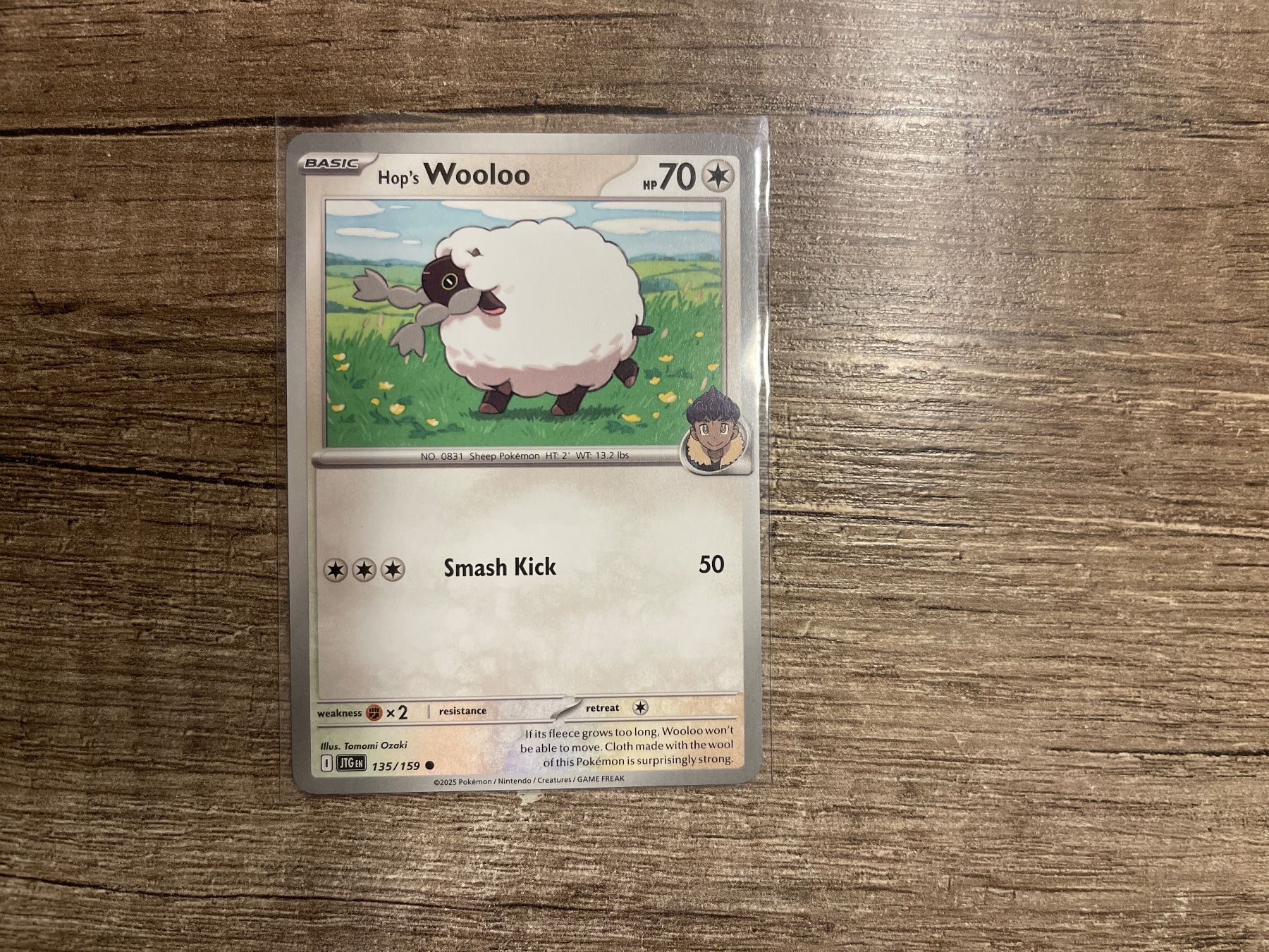 Pokémon Carte collezionabili: J/Pokemon Karte: Hop's Wooloo – Usato da Frutigen venduto da swissTCGworld