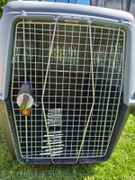 Transportbox Hund