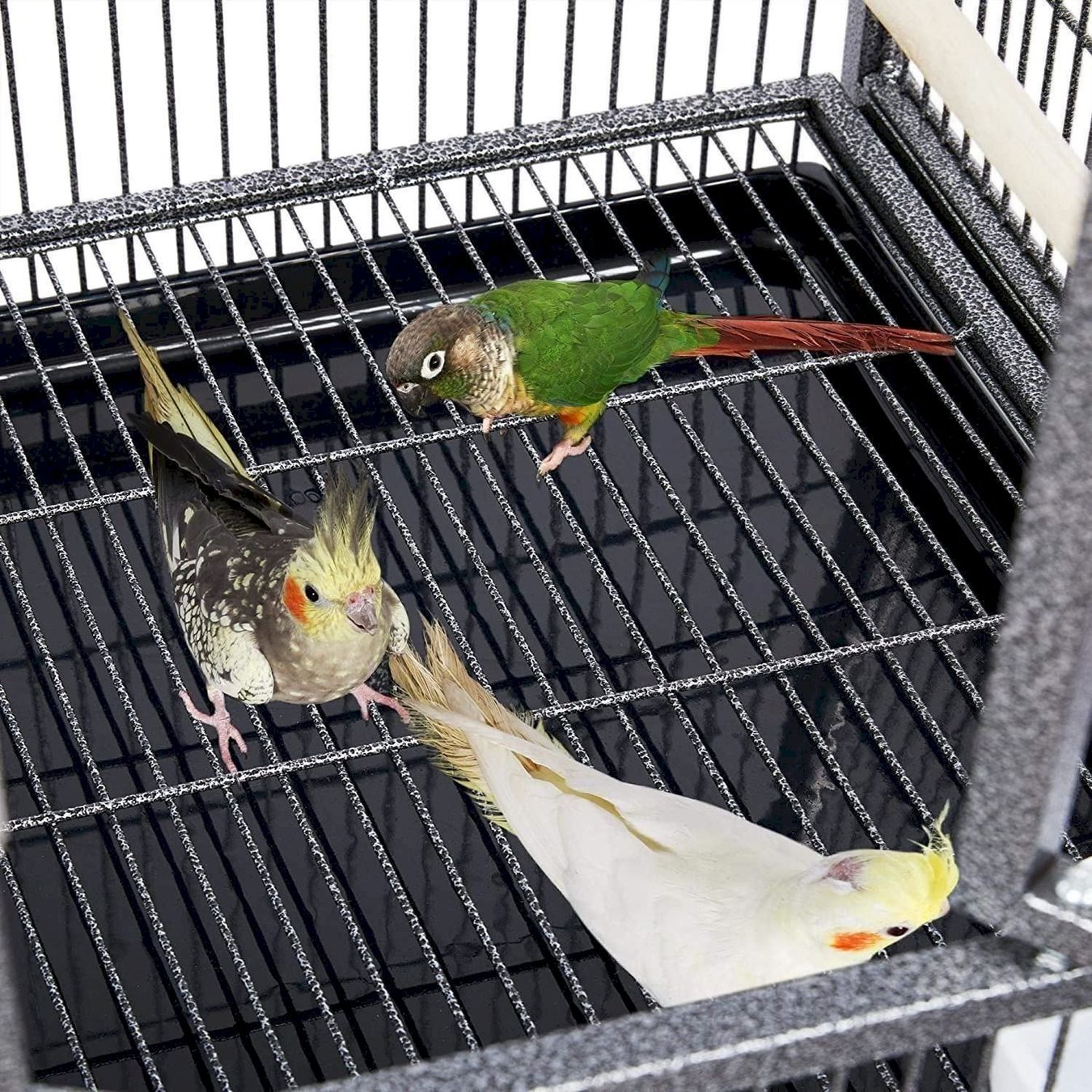 Vogelhäuser: Großer Vogelkäfig Doppelkäfig – Neu und originalverpackt aus Bottighofen von zaap 4