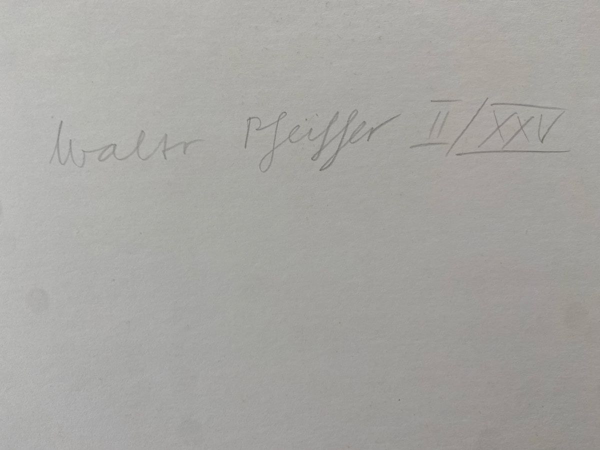 Foto & Immagini: Walter Pfeiffer signiert – Usato da Winterthur venduto da Art-3000 2