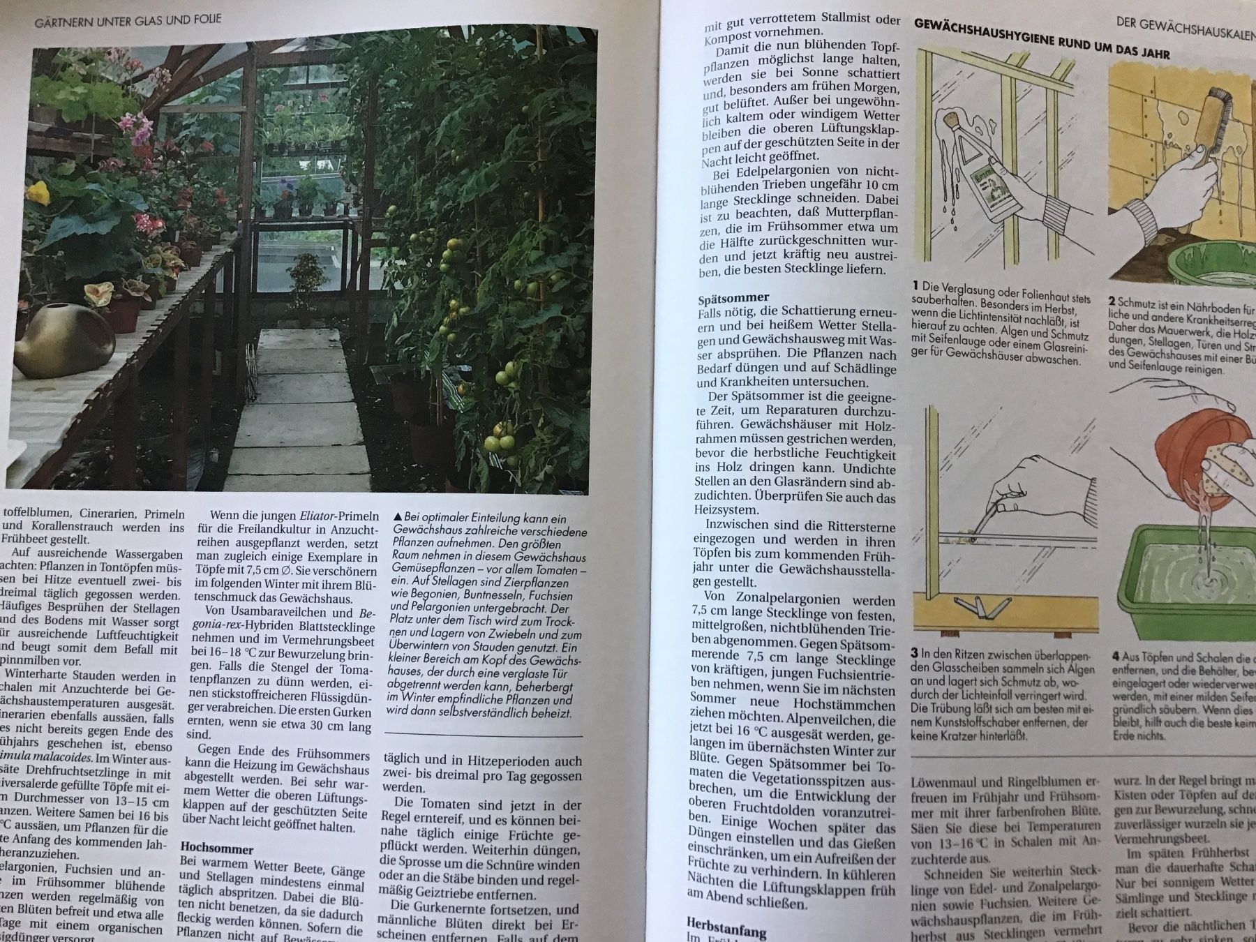 Libri: Der gesunde Biogarten – Usato da Kirchenthurnen venduto da Gluecksbrief 6