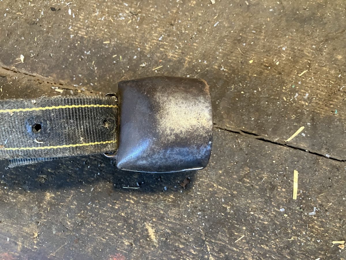 Chamonix Cloches & sonnailles: Treichel Glocke schelle  – D'occasion à Neudorf par Zlateh 2