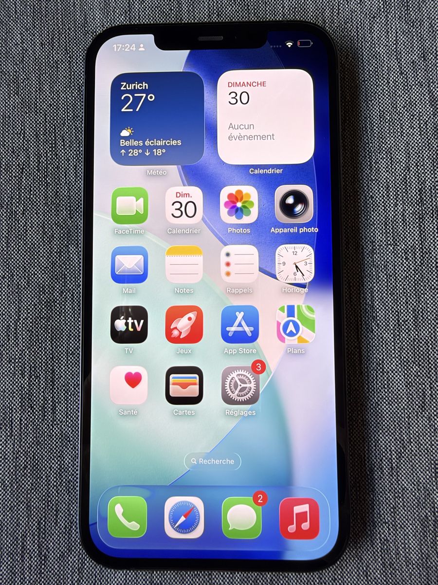 Apple Telefoni cellulari / Smartphones: iPhone 12 Pro Max - Bleu - 256 GB – Usato da Troinex venduto da Tschoop
