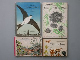 ANTIKE KINDERBÜCHER TIERE TIERLEBEN TIERLISCHAU