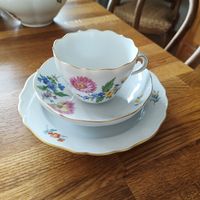 Meissen Sammeltasse mit Teller