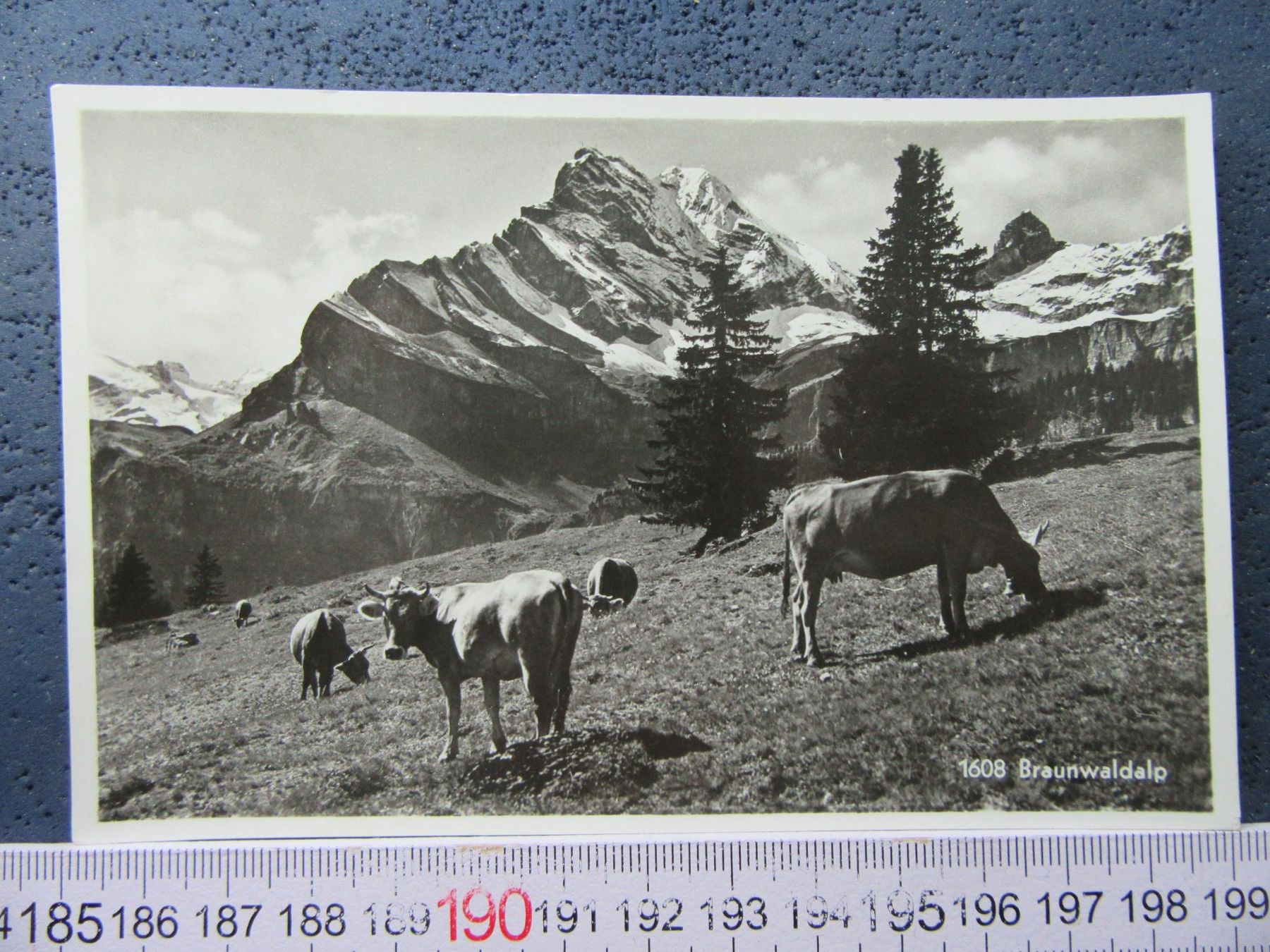 Cartoline postali: BRAUNWALD-ALP KUHERDE 1946 – Usato da Ettingen venduto da Hausi4711