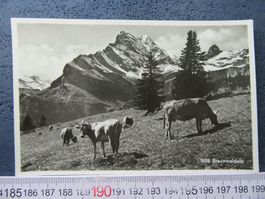 BRAUNWALD-ALP KUHERDE 1946