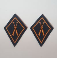 Kragenspiegel Schweizer Armee / Pontonier Genietruppen