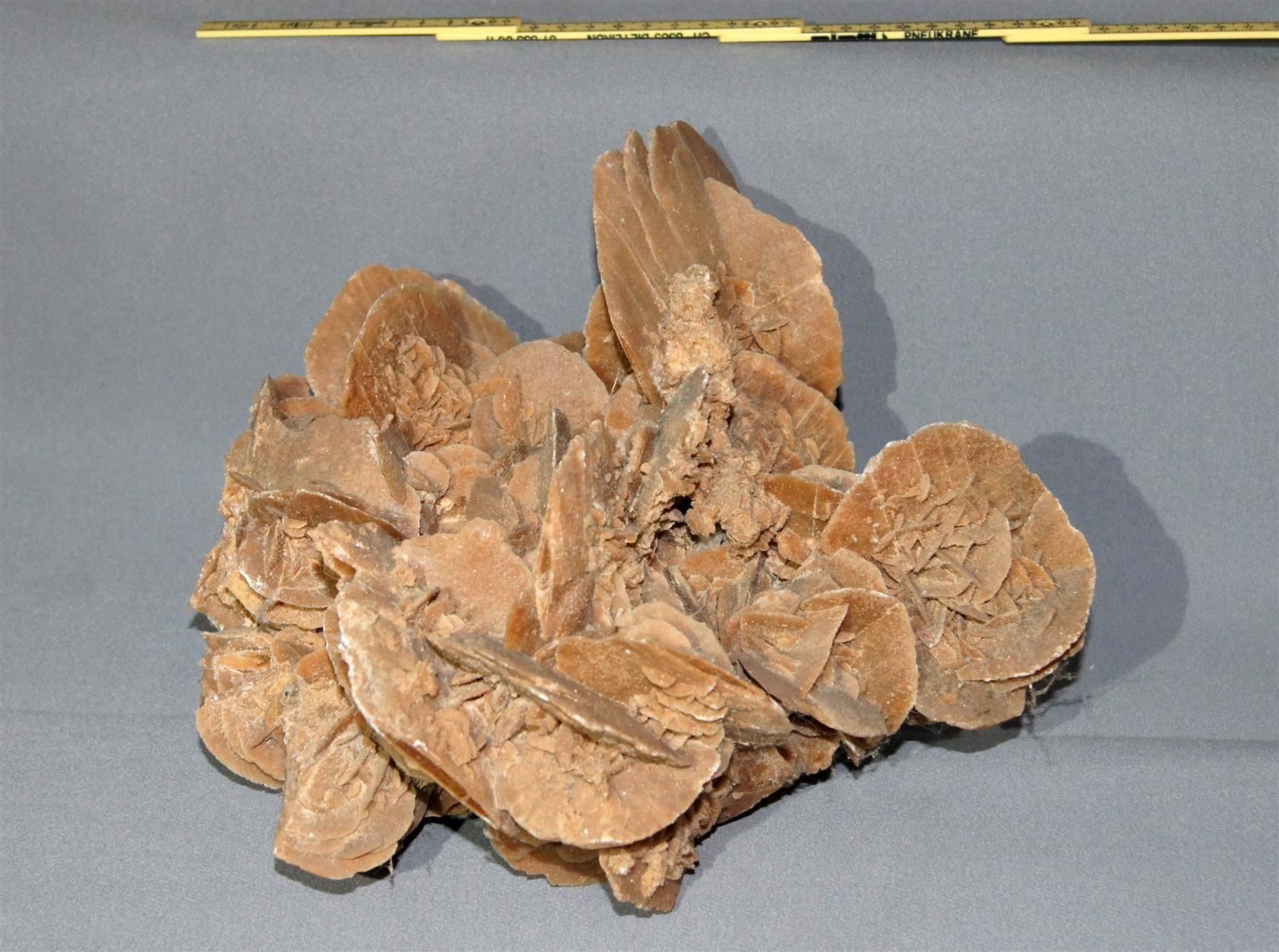 Mineralien & Heilsteine: Beeindruckende, grosse Sandrose – Gebraucht aus Geroldswil von ARTEFACTO 2